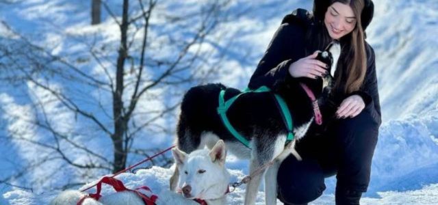Trineos con Perros Huskies