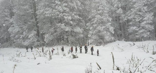 Caminata con Raquetas + Traslado Chapelco