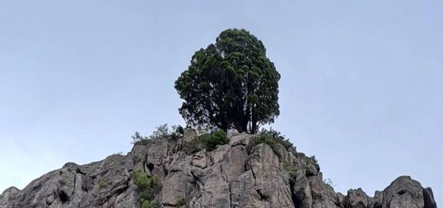 TREKKING A LA LAGUNA ROSALES 