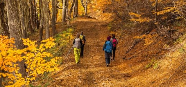 Otoño Trek Patagonia - 3 dias