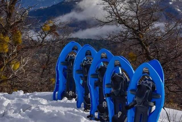 Caminata con Raquetas en Parque de Nieve C4