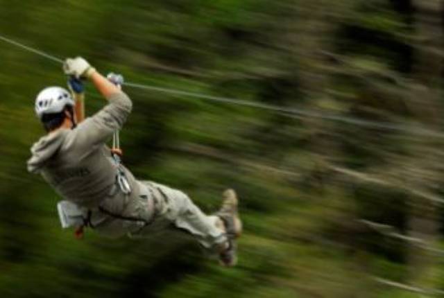 Canopy