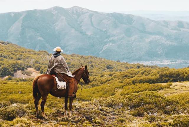 Cabalgata