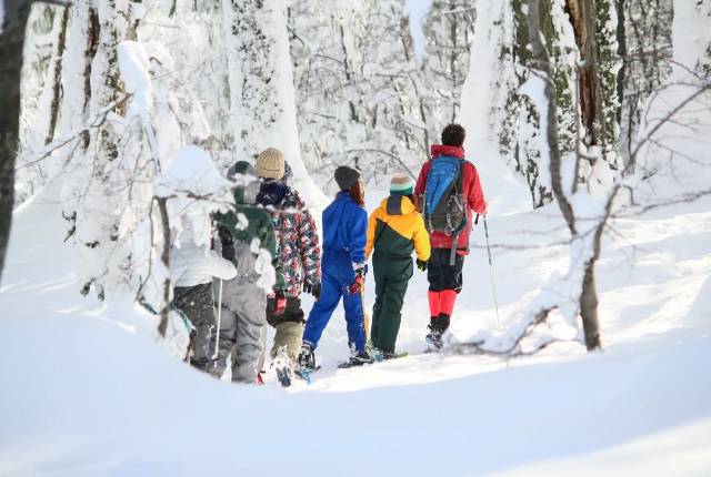 Caminata con raquetas al Refugio del Bosque Chapelco