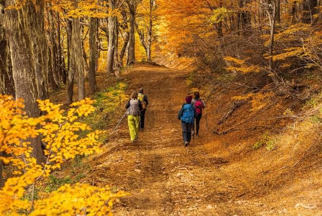 Otoño Trek Patagonia - 3 dias
